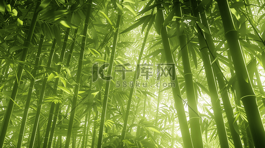 自然竹插画图片_C4D阳光下的青青竹林插画
