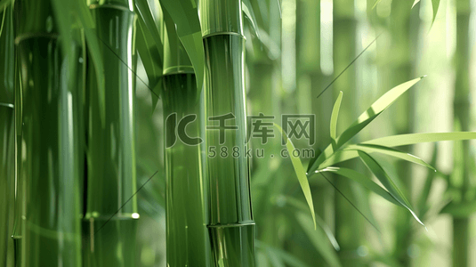自然竹插画图片_C4D阳光下的青青竹林插画