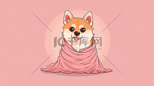 裹着毛毯的可爱小狗3