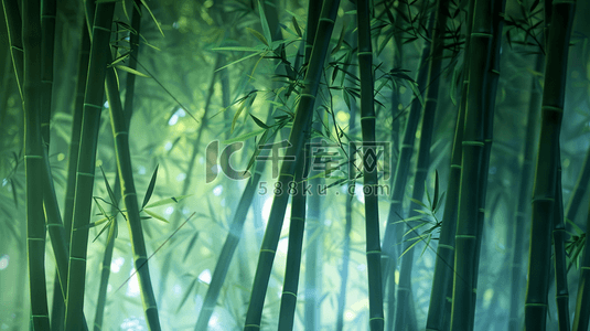 秋天深林插画图片_绿色深林竹林竹子阳光照射的插画