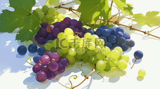 字母艺术设计插画图片_绘画艺术水果葡萄的插画