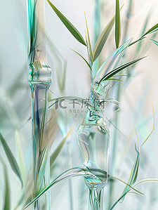 半透明的插画图片_半透明的竹子玻璃材料插图