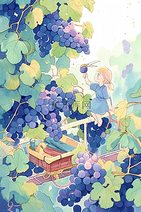紫手绘插画图片_手绘夏季葡萄园插画海报