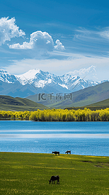 新疆自然风光我的阿勒泰风景插画25