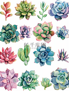 春天植物装饰插画图片_白色背景上孤立的一组不同的多肉植物水彩画