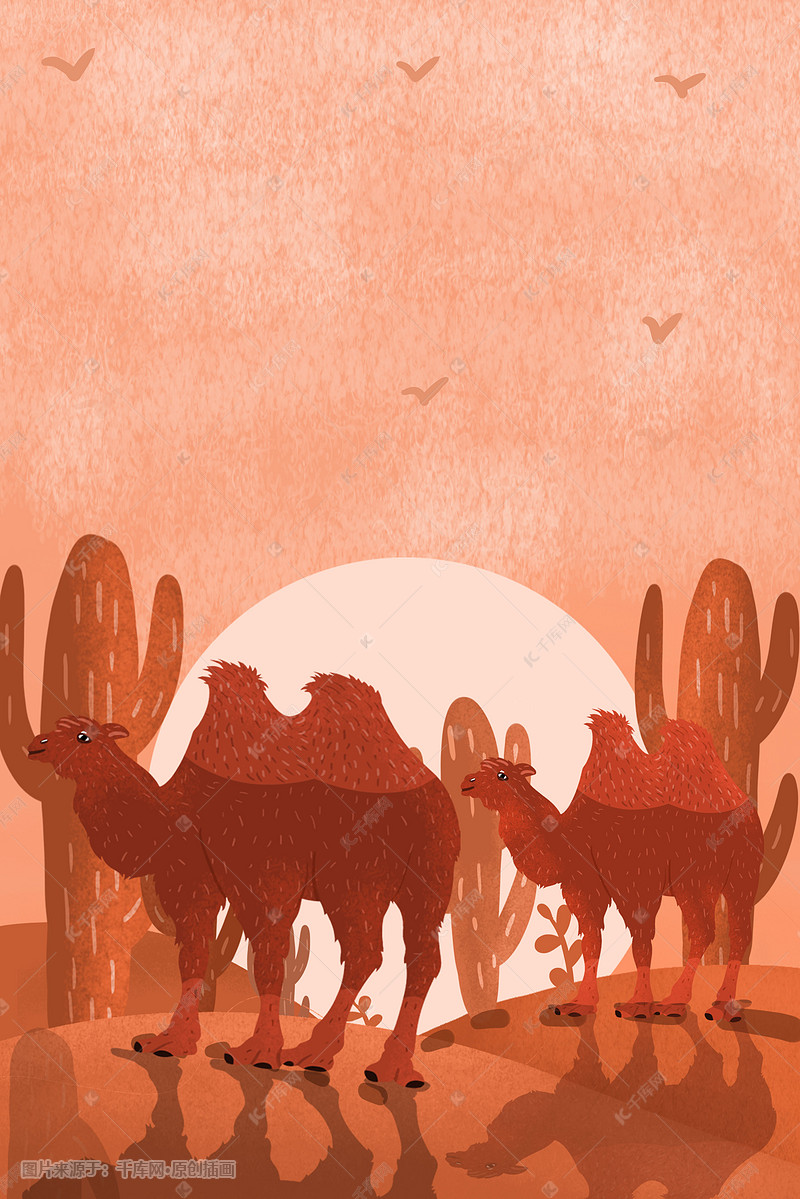 沙漠夕阳下的骆驼