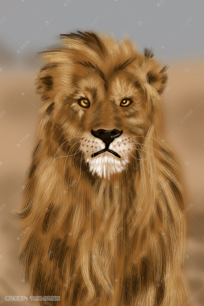 野生动物凶猛野兽狮子