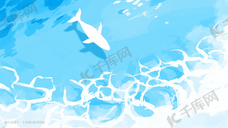 宁静的海面白色鲸鱼