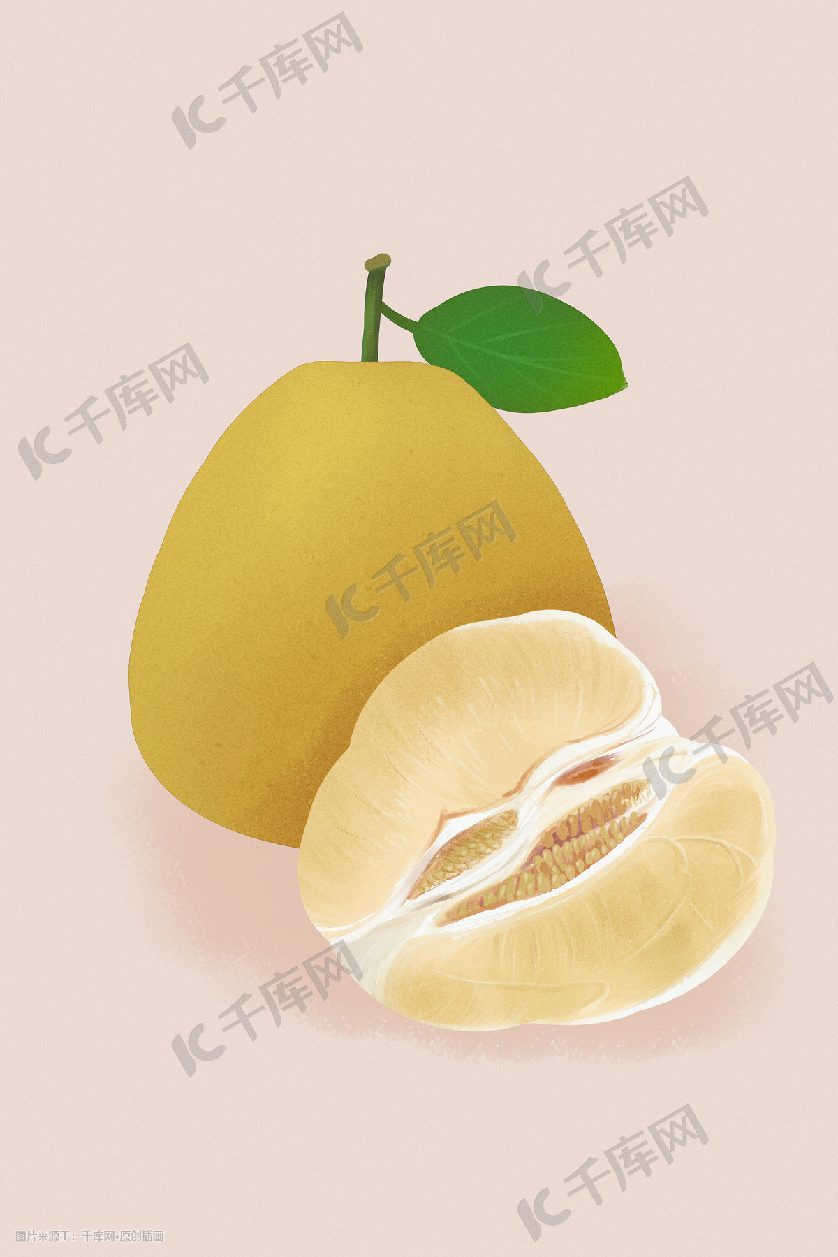 水果柚子手绘风格插画图片 千库网 插画id 146