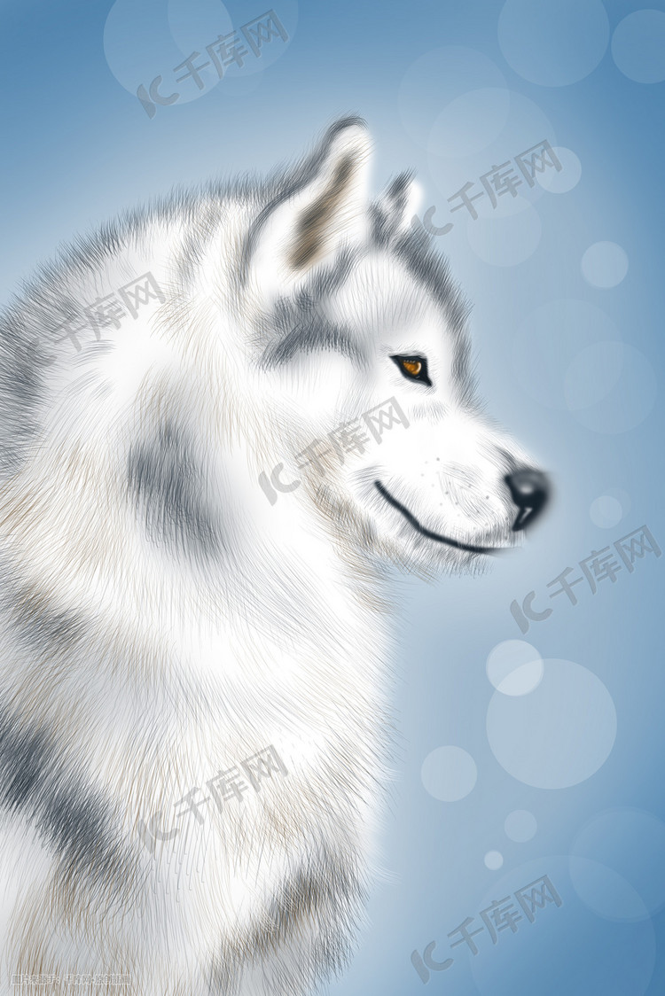 自然野兽动物雪白色的狼手绘插画