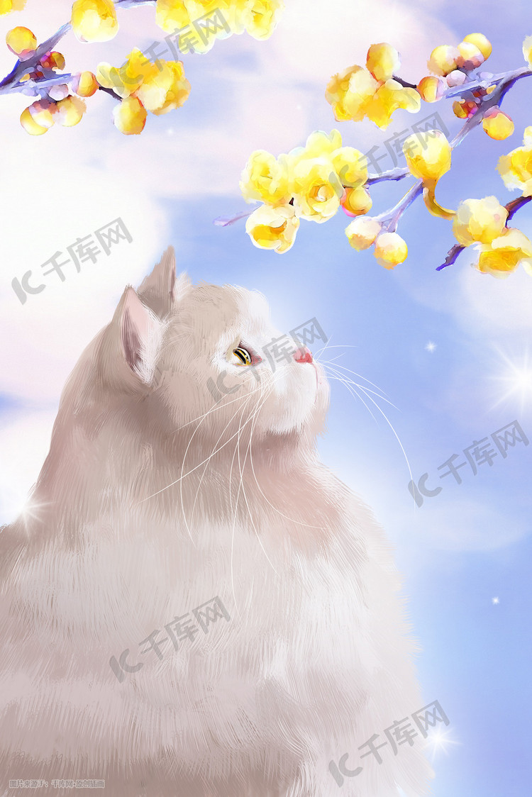 猫咪梅花治愈宠物