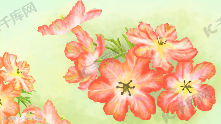 花卉植物红色花朵绿叶青草自然手绘插画