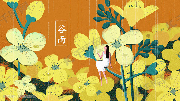 谷雨黄花油菜花插画banner背景