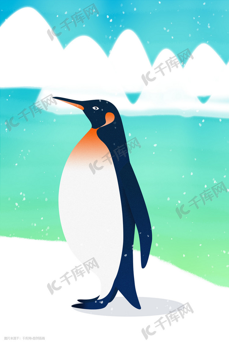 野生动物企鹅插画