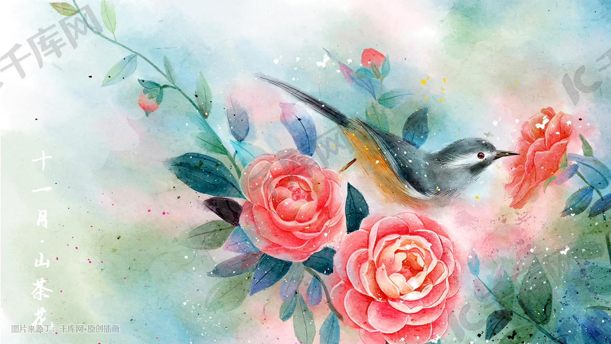 水彩花鸟十二月花信之十一月山茶花插画图片 千库网 插画id