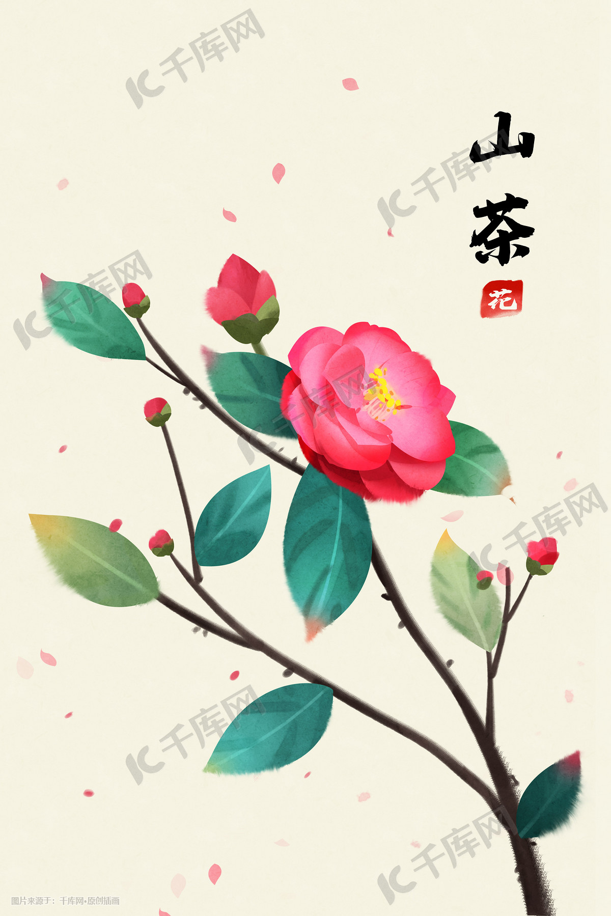 第27课:工笔山茶-勾线花朵-zhang1987wenwen