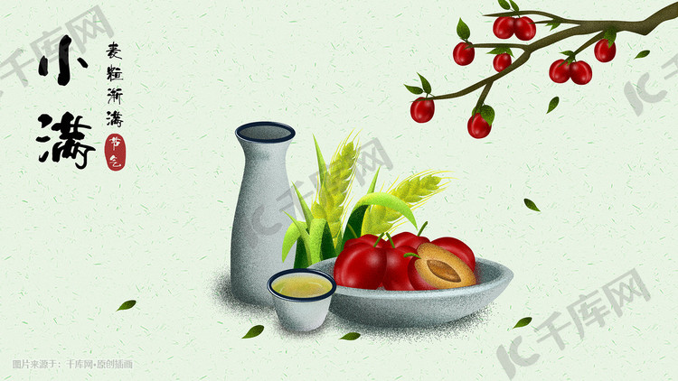 中国传统二十四节气小满节日植物水果插画