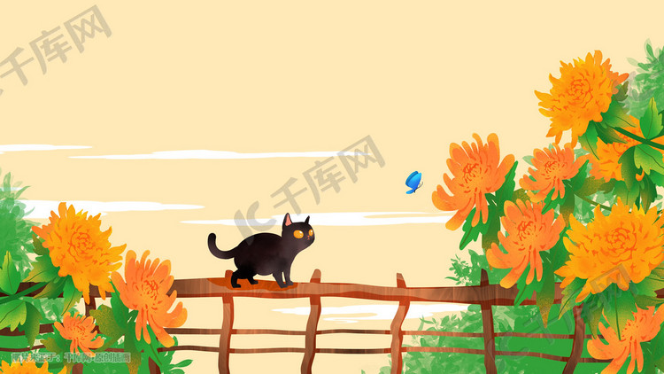 寒露菊花猫围栏场景插画