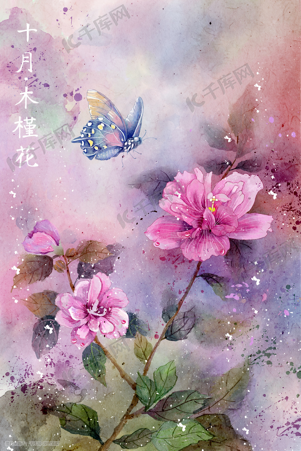 高質 水彩花鸟画十二月花信十月木槿花插画图片_千库网(插画id:48245) 絵画/タペストリー