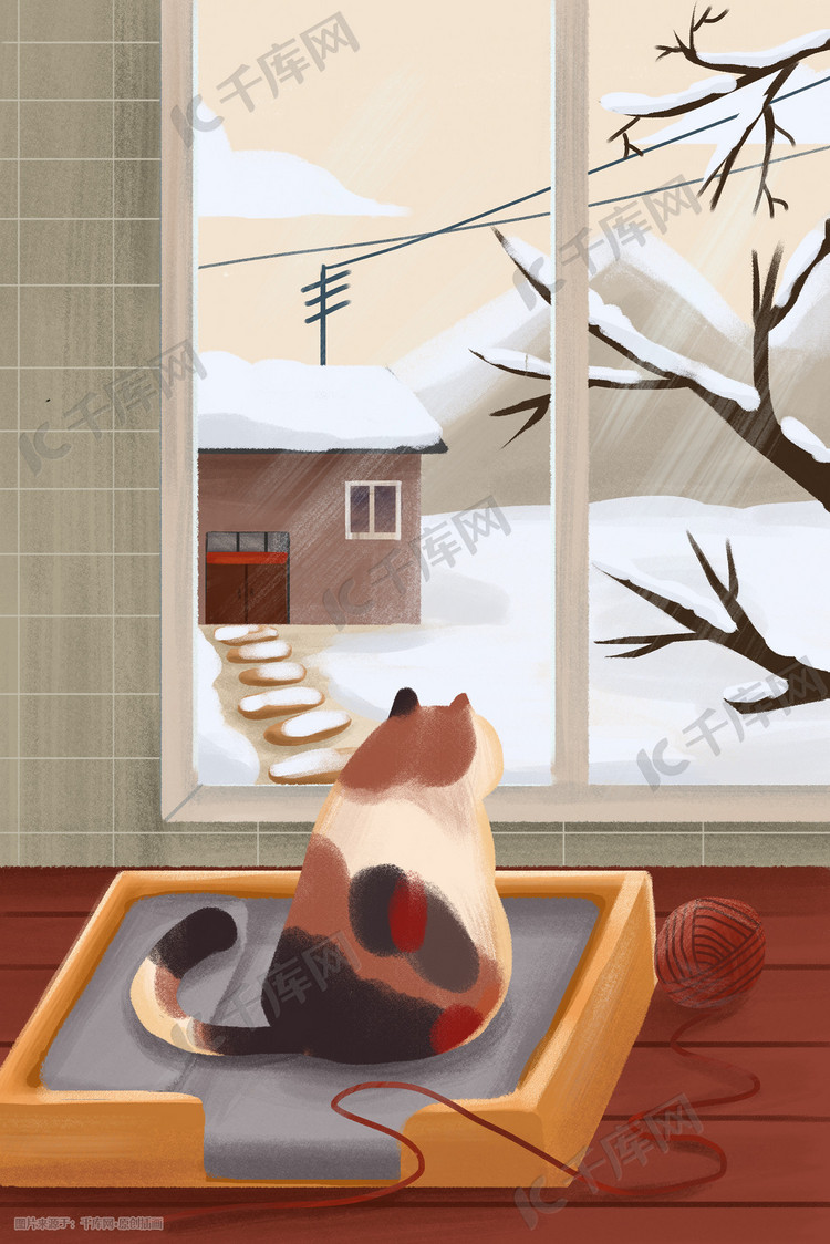 冬日主题在家里望着窗外雪景的猫咪