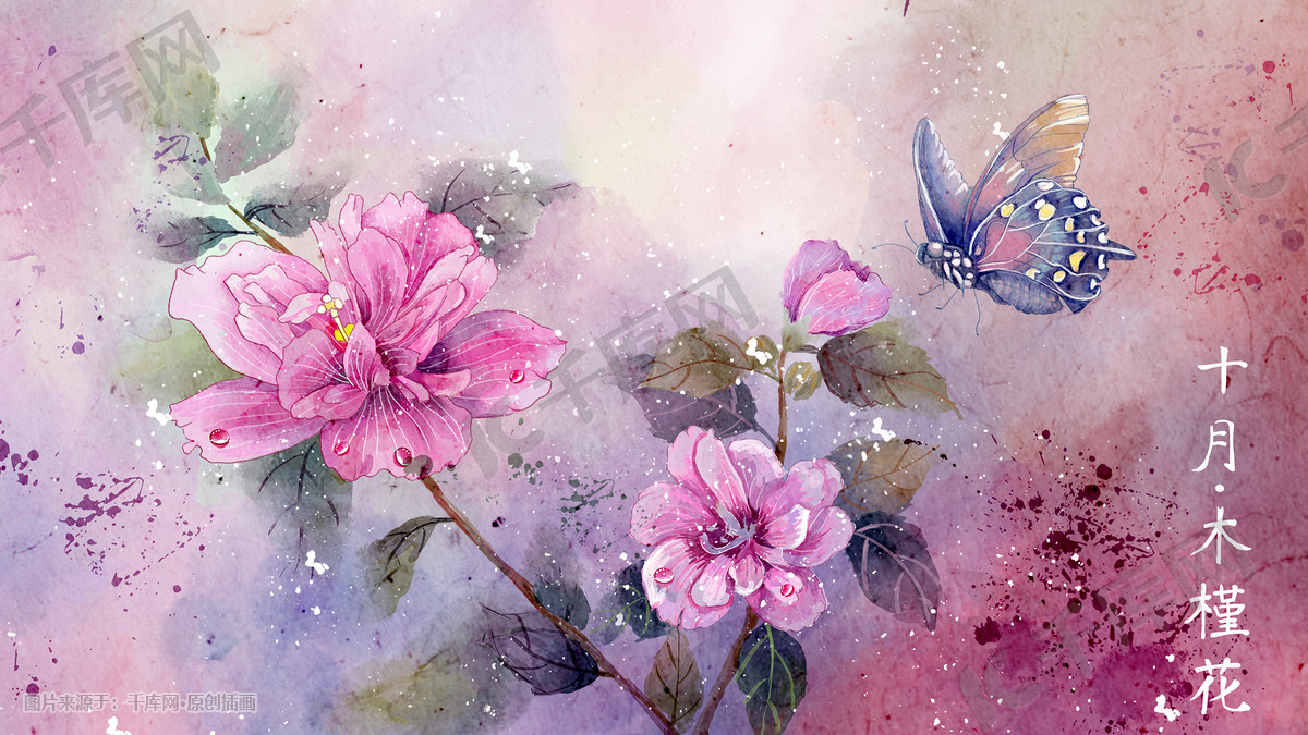 水彩花鸟画十二月花信十月木槿花插画图片 千库网 插画id 444 水彩花鸟画十二月花信十月木槿花插画图片 千库网 插画id 444