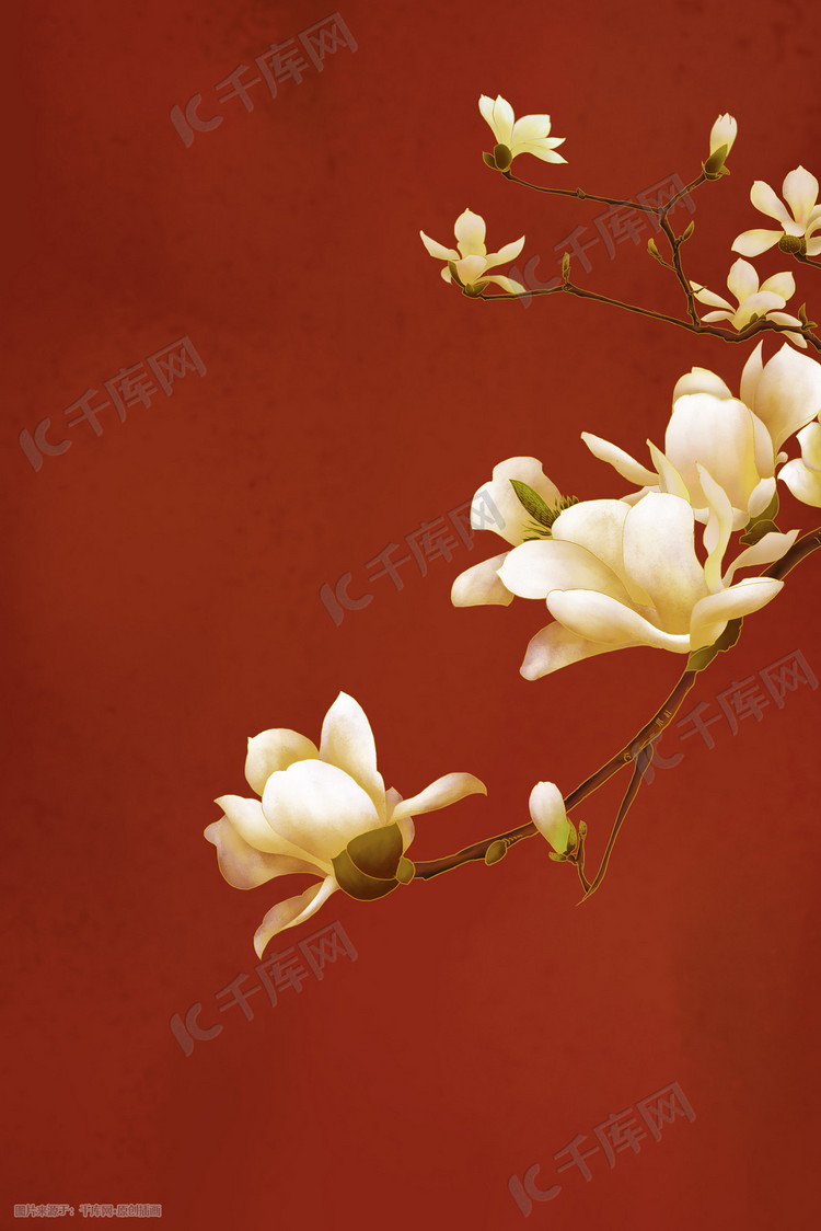 中国风工笔花朵白玉兰