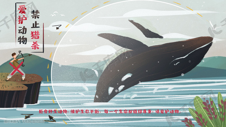 保护鲸鱼等海洋动物禁止猎杀