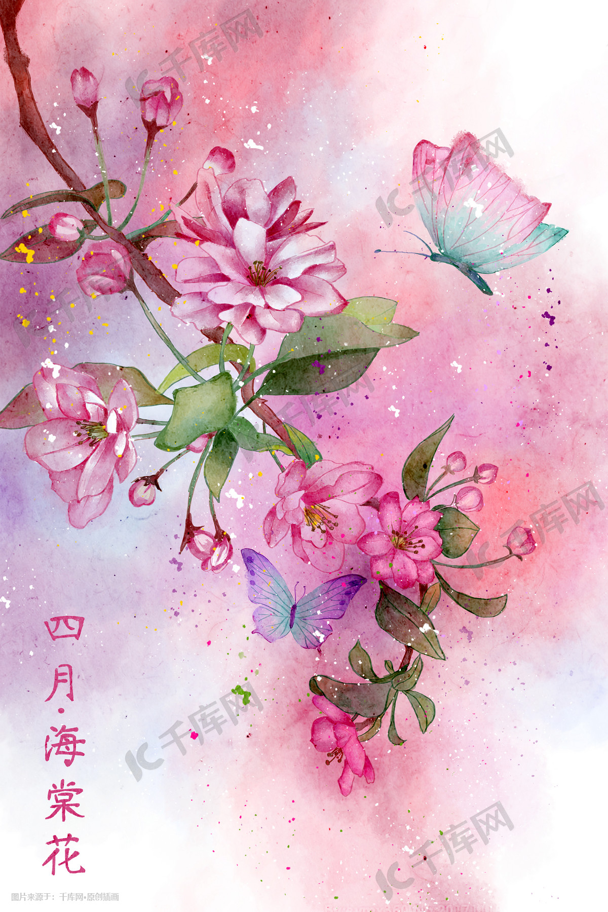 水彩花鸟画十二月花信之四月海棠花