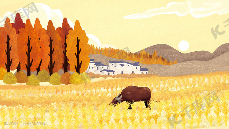 秋日野外水牛吃草质感插画