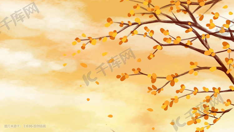 秋风秋天秋季黄色树叶树落叶背景