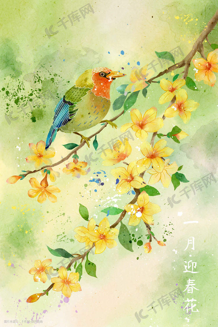 水彩花鸟画十二月花信之一月迎春花