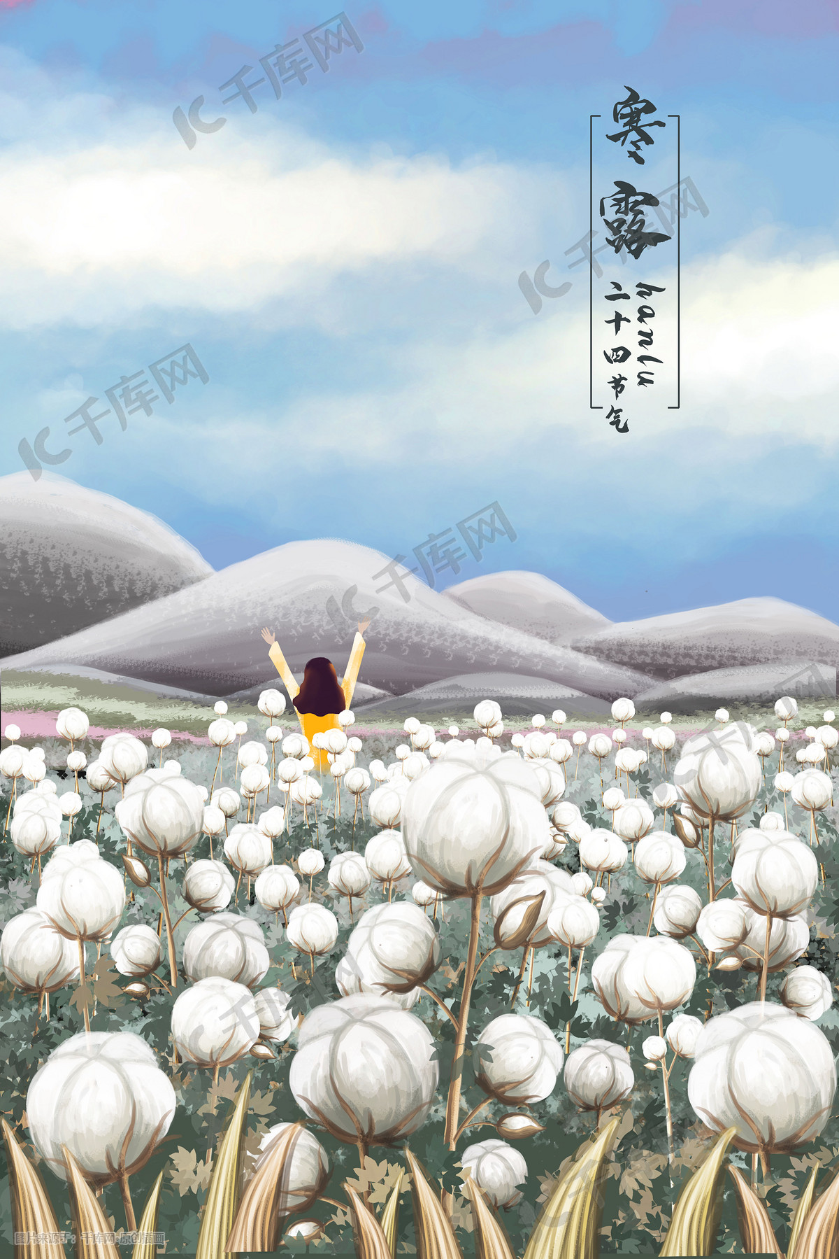 二十四节气寒露棉花地插画图片 千库网 插画id