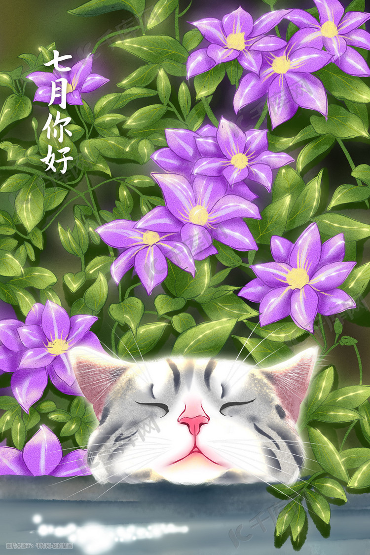 七月你好铁夏莲下的猫咪手绘插画