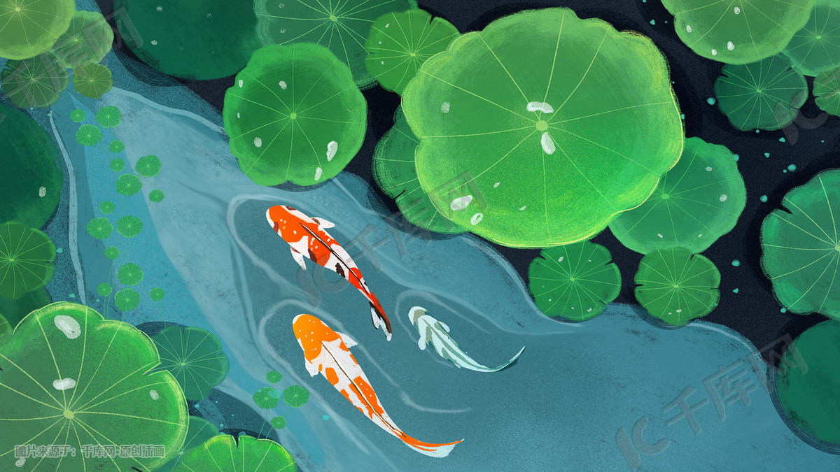 雨水春天春植物荷叶鲤鱼插画图片-千库网