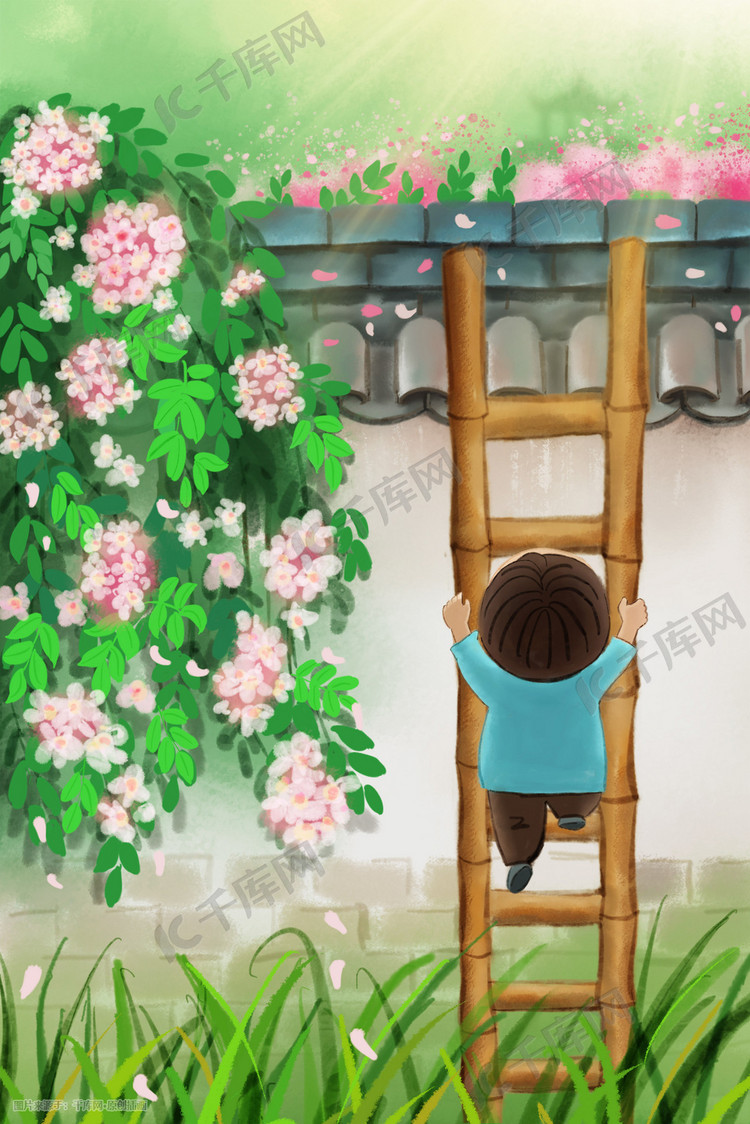 春天墙角花卉盛开小孩爬墙观看