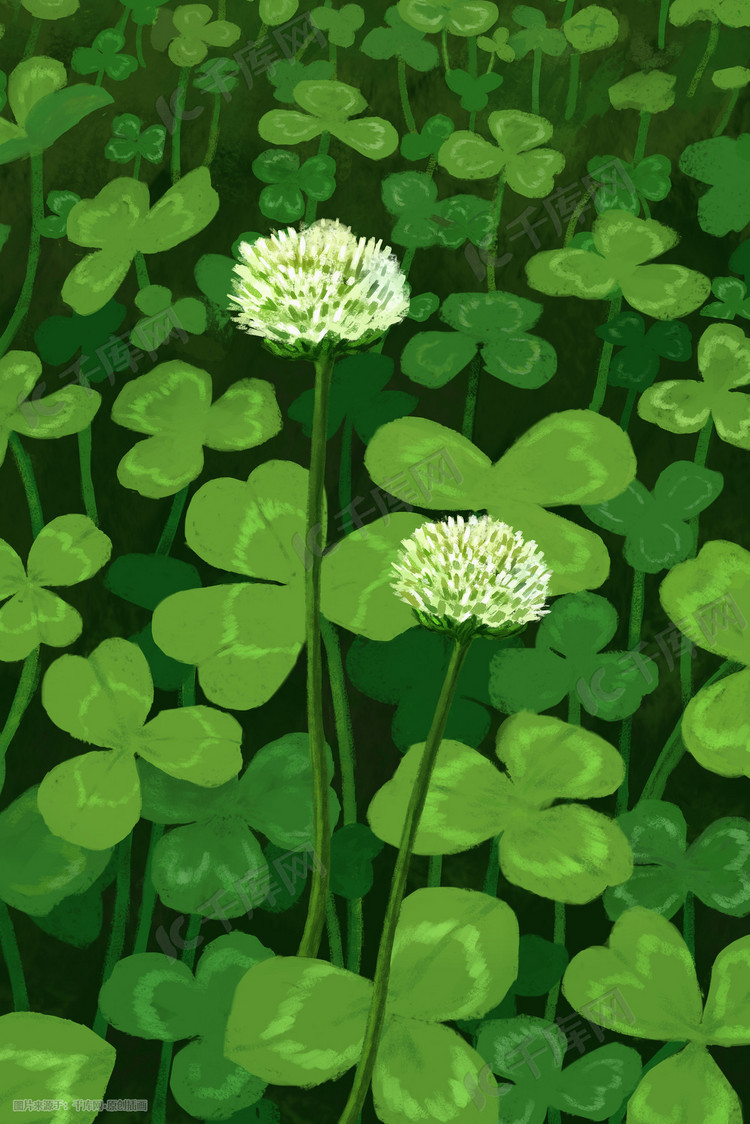 夏天的四叶草 绿色背景 植物插画图片-千库网
