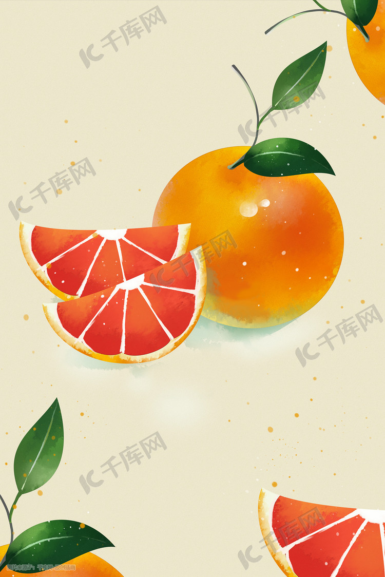 西柚橘子橙子手绘插画