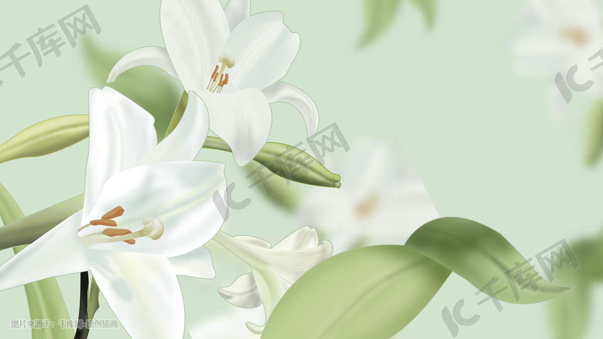 百合花写实手绘插画图片 千库网 插画id 百合花写实手绘插画图片 千库网 插画id