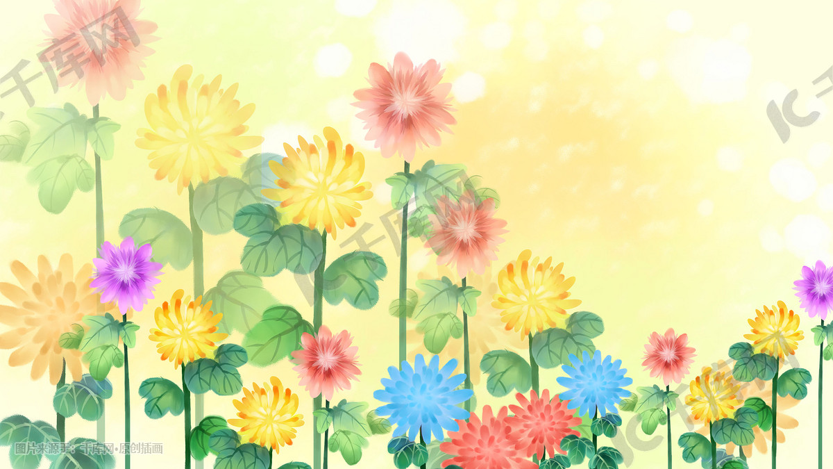 小清新治愈唯美花朵菊花手绘花海