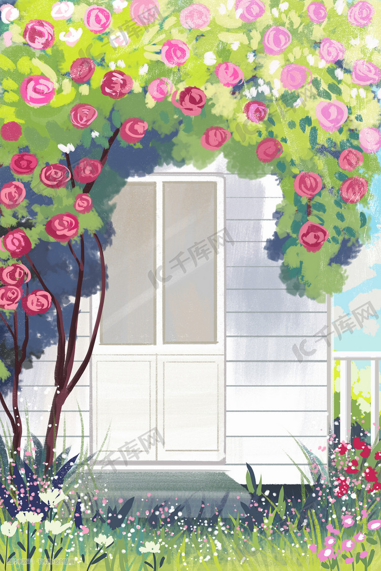 夏天乡村庭院开满蔷薇花治愈系