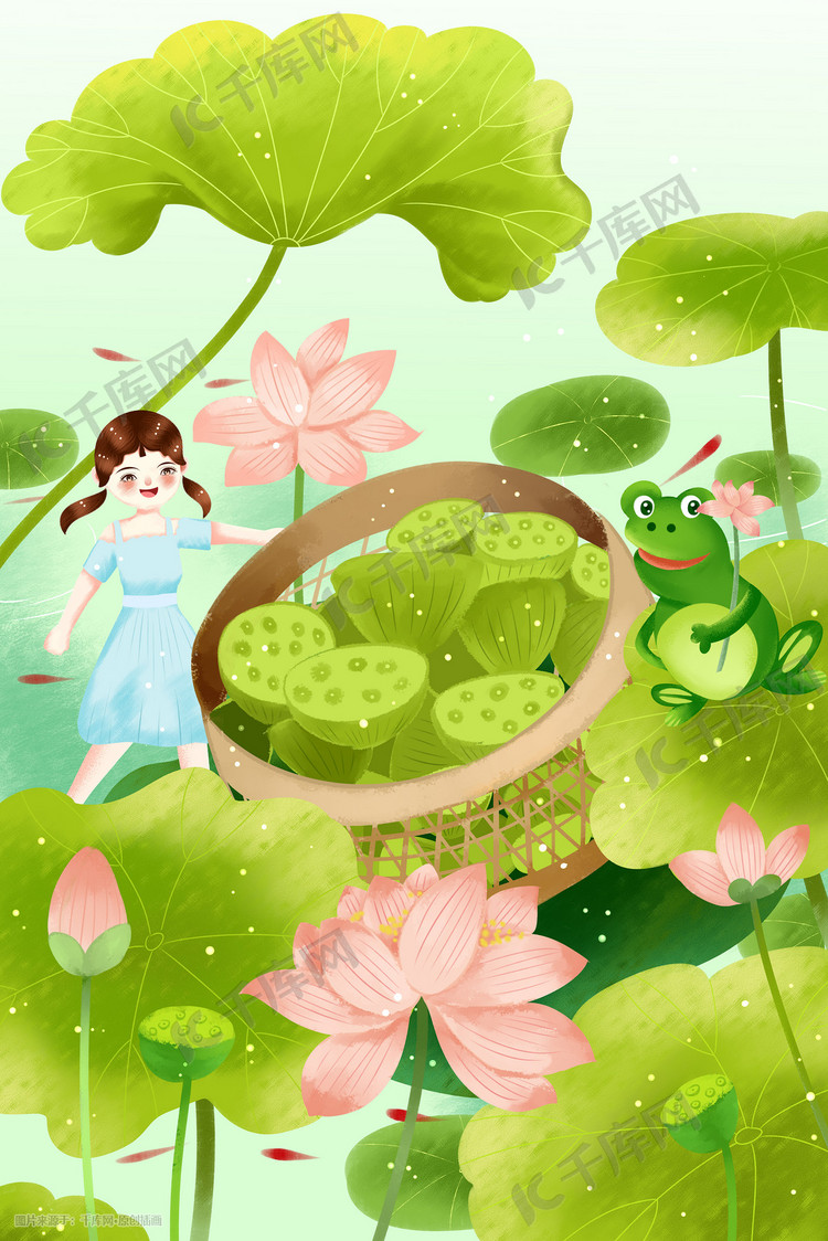 夏天小暑荷塘里女孩青蛙和一筐莲蓬