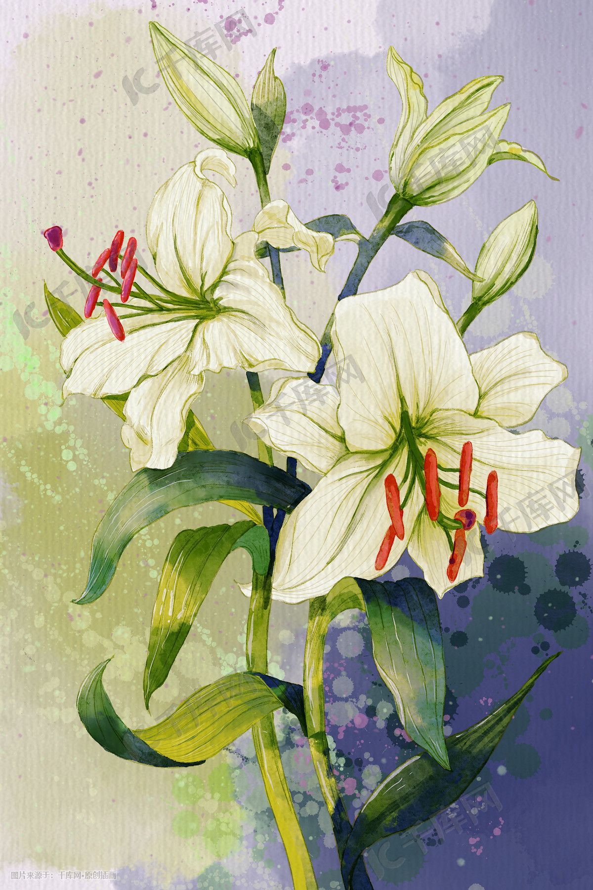 水彩花卉水彩背景唯美植物百合花插画图片 千库网 插画id