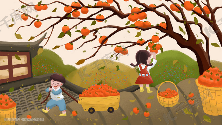 秋天摘柿子的可爱小朋友