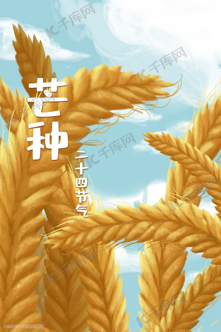 小麦芒种麦子丰收秋天稻田天空景色