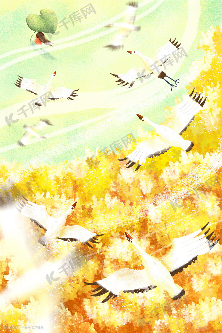 秋天秋季枫树林枫叶飞鹤俯视插画