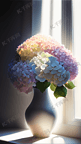 花盆盆栽窗台边上一盆绣球花