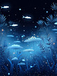 水下星空的奇妙景象宁静的深海6