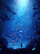 水下星空的奇妙景象宁静的深海10