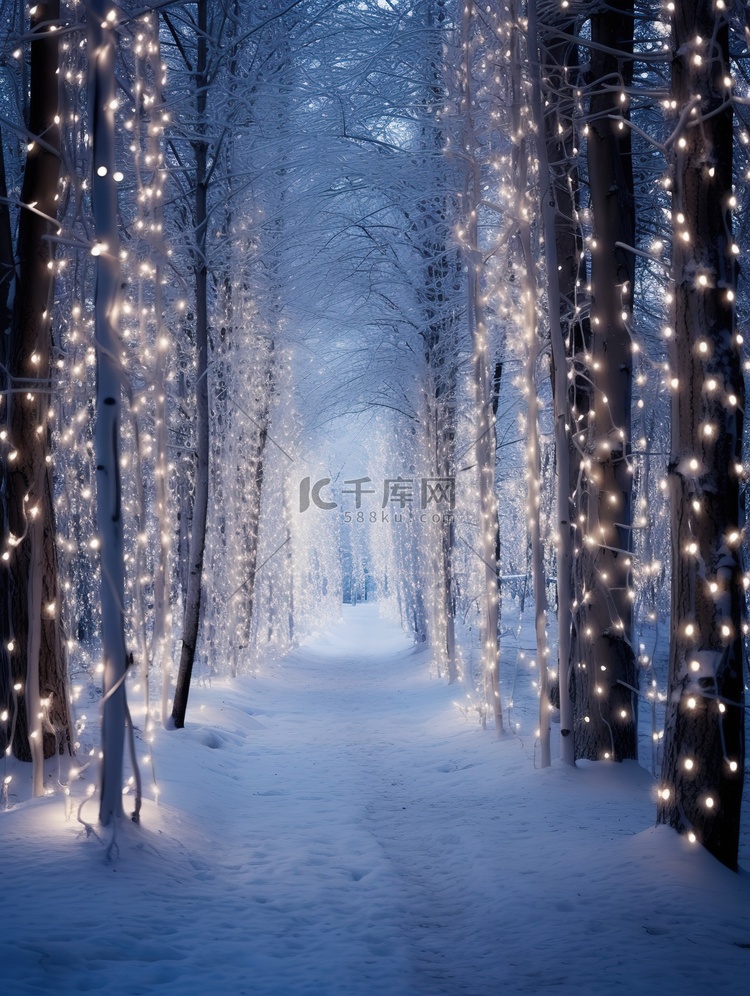 冬季仙境闪烁的灯光13