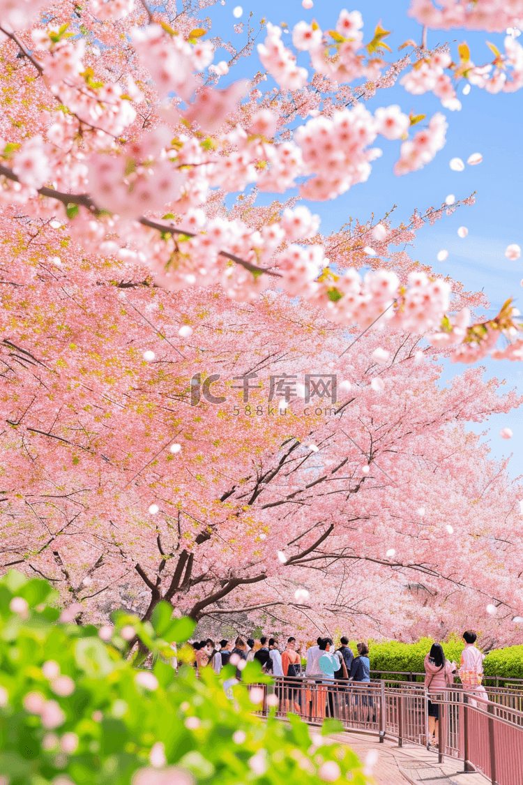 春天唯美手绘樱花树赏花海报图片
